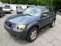 2006 Norsea Blue Metallic Ford Escape XLT 4WD  photo #4