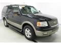 Black Clearcoat - Expedition Eddie Bauer 4x4 Photo No. 6