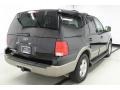 Black Clearcoat - Expedition Eddie Bauer 4x4 Photo No. 8