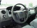 2014 Green Gem Ford F150 XL Regular Cab  photo #7