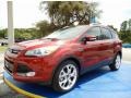 2014 Sunset Ford Escape Titanium 2.0L EcoBoost  photo #1