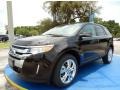 2014 Kodiak Brown Ford Edge Limited  photo #1