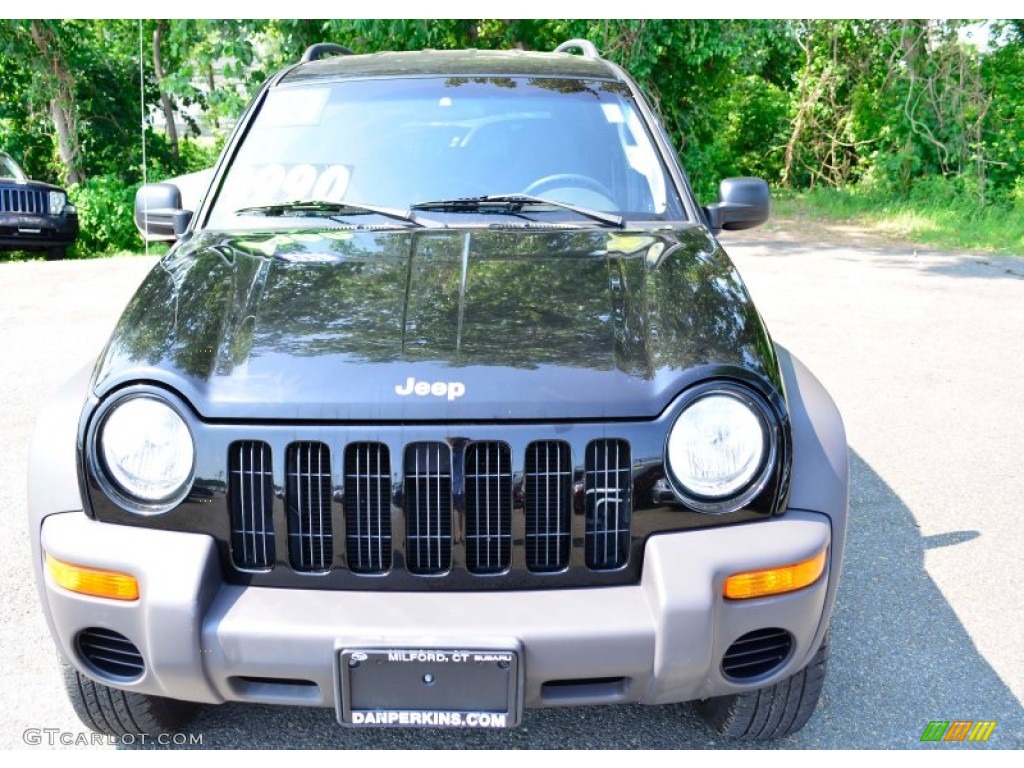 2002 Liberty Sport 4x4 - Black / Dark Slate Gray photo #2