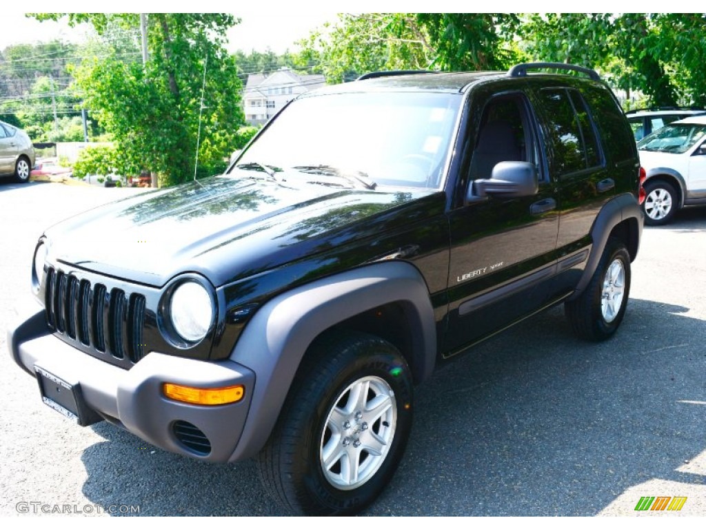 2002 Liberty Sport 4x4 - Black / Dark Slate Gray photo #3