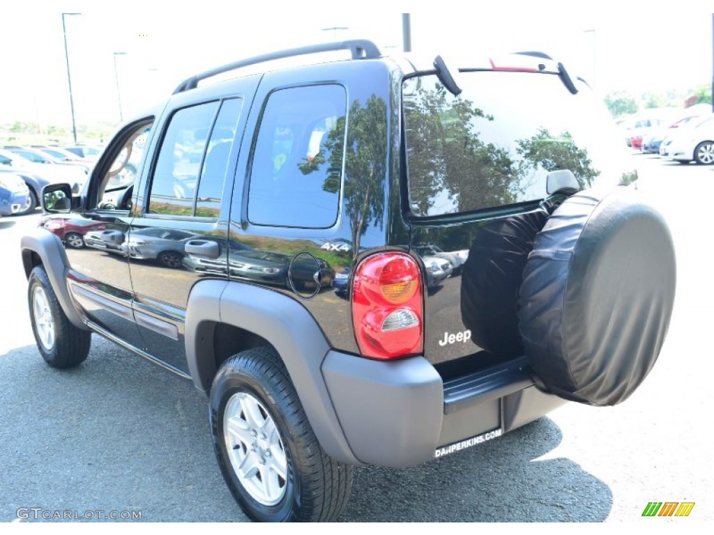 2002 Liberty Sport 4x4 - Black / Dark Slate Gray photo #10