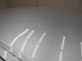 Light Platinum - DTS Luxury II Photo No. 12