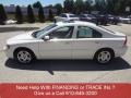 Ice White - S60 2.5T Photo No. 8