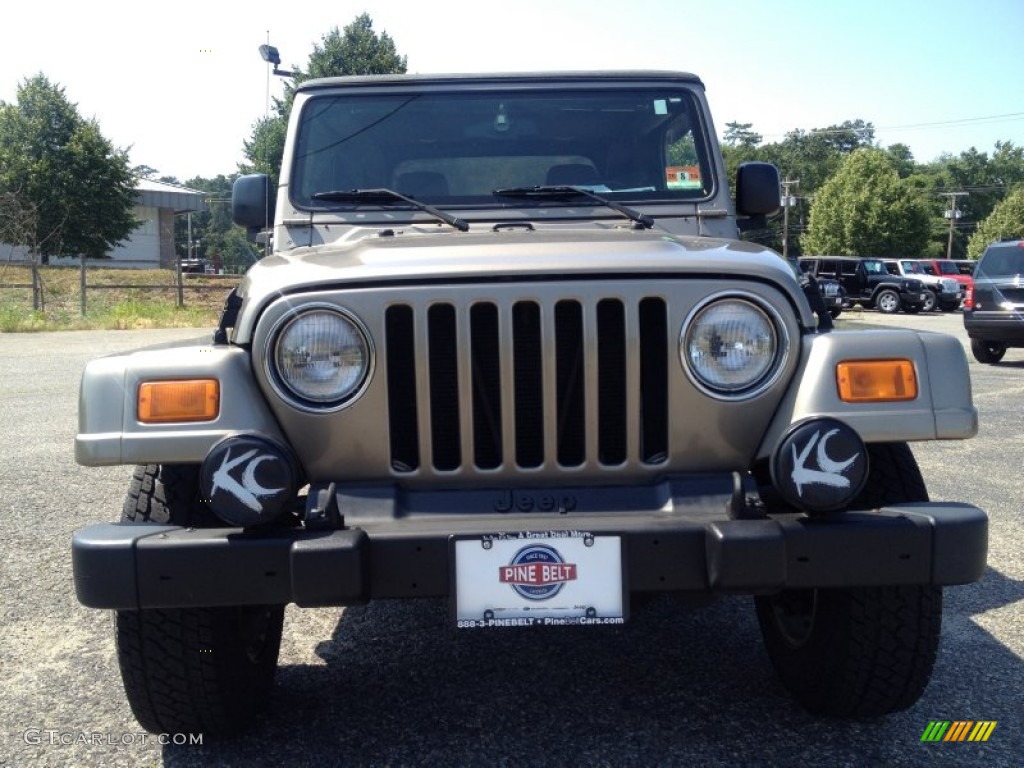 2004 Wrangler Sahara 4x4 - Light Khaki Metallic / Khaki photo #5