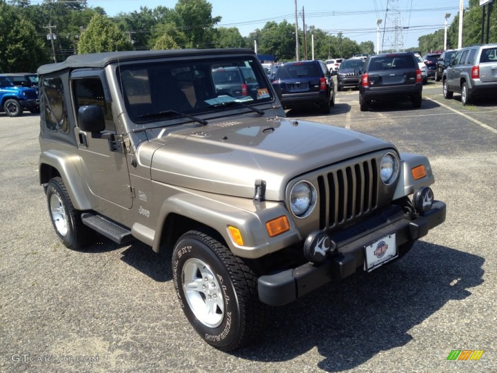 2004 Wrangler Sahara 4x4 - Light Khaki Metallic / Khaki photo #6