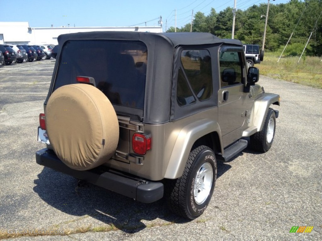 2004 Wrangler Sahara 4x4 - Light Khaki Metallic / Khaki photo #14