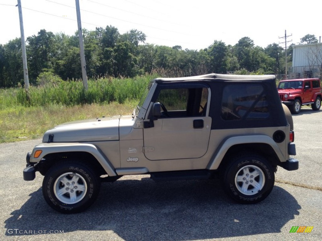 2004 Wrangler Sahara 4x4 - Light Khaki Metallic / Khaki photo #18