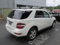 Arctic White - ML 350 4Matic Photo No. 6