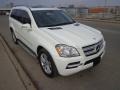 Arctic White - GL 450 4Matic Photo No. 1