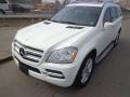 Arctic White - GL 450 4Matic Photo No. 2