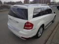 Arctic White - GL 450 4Matic Photo No. 6