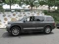 Silver Graphite Gray - QX 56 4WD Photo No. 2