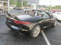 Ultimate Black Metallic - F-TYPE  Photo No. 6