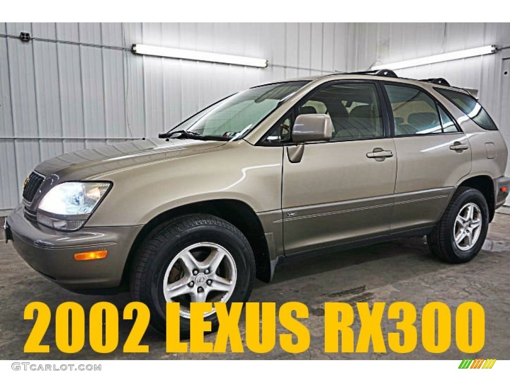 2002 Burnished Gold Metallic Lexus RX 300 AWD 95116188