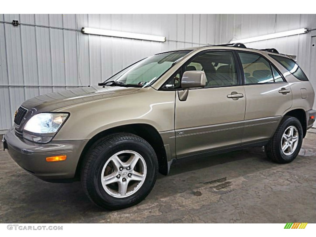 2002 RX 300 AWD - Burnished Gold Metallic / Ivory photo #2