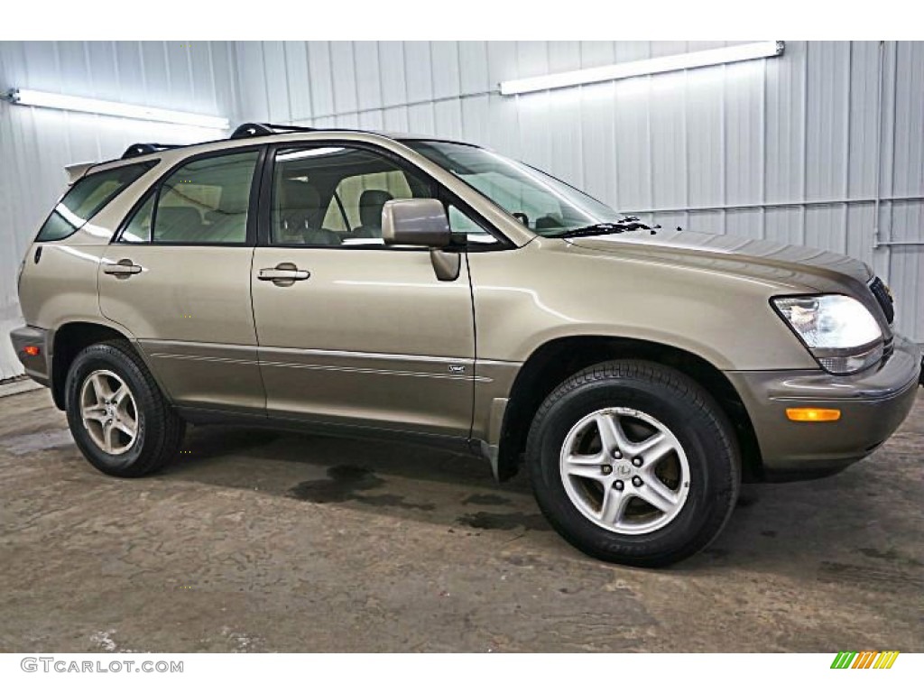 2002 RX 300 AWD - Burnished Gold Metallic / Ivory photo #4