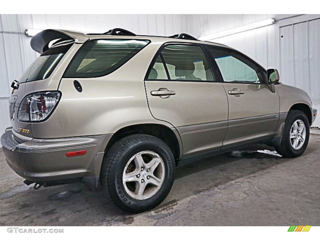 2002 RX 300 AWD - Burnished Gold Metallic / Ivory photo #5