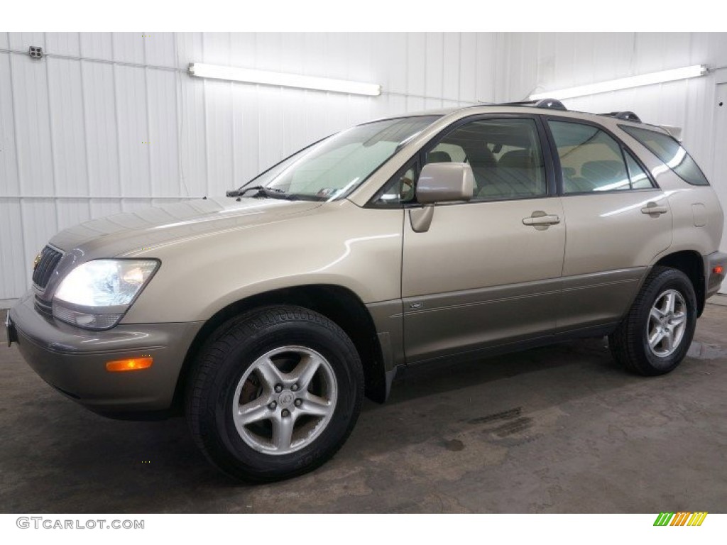 2002 RX 300 AWD - Burnished Gold Metallic / Ivory photo #10