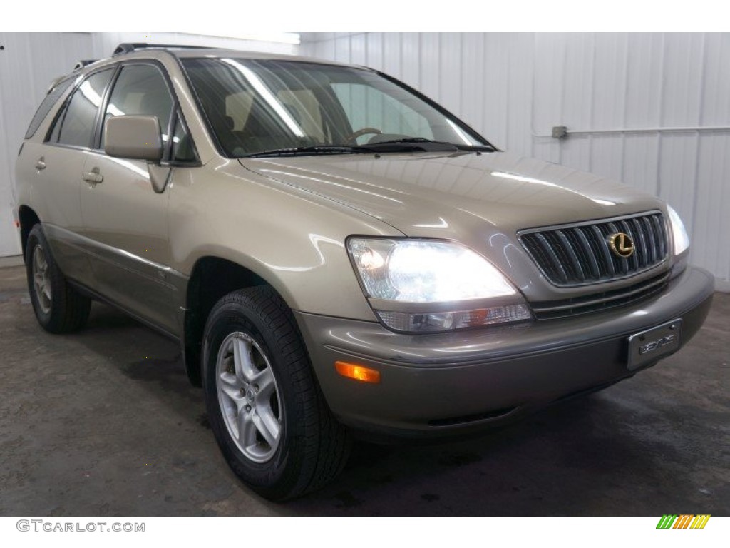 2002 RX 300 AWD - Burnished Gold Metallic / Ivory photo #13