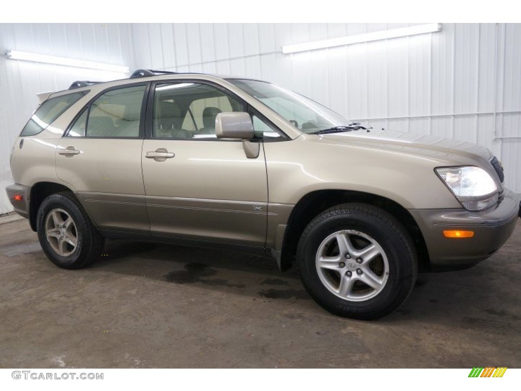 Burnished Gold Metallic 2002 Lexus RX 300 AWD Exterior Photo #95151587