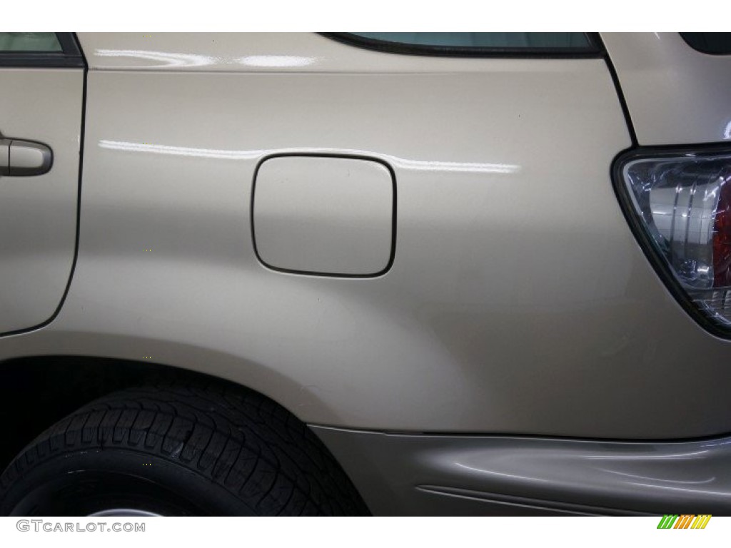 2002 RX 300 AWD - Burnished Gold Metallic / Ivory photo #67