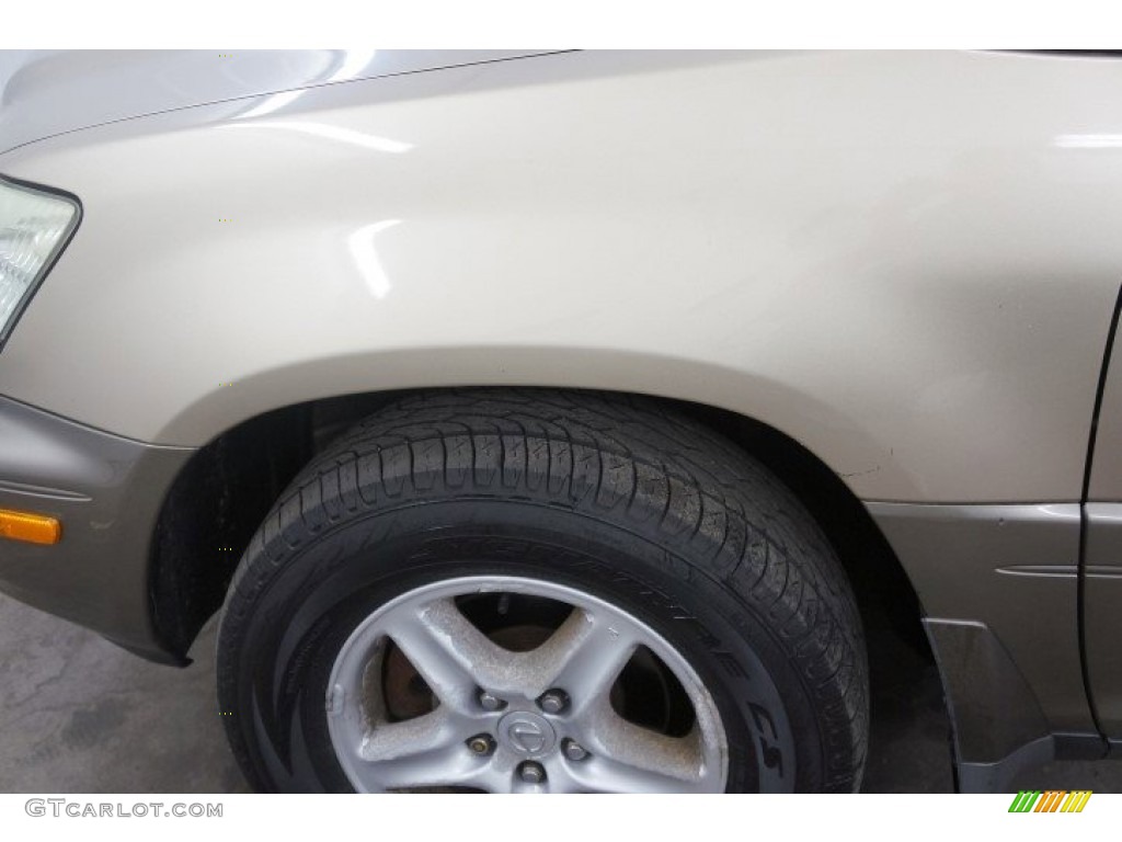 2002 RX 300 AWD - Burnished Gold Metallic / Ivory photo #72