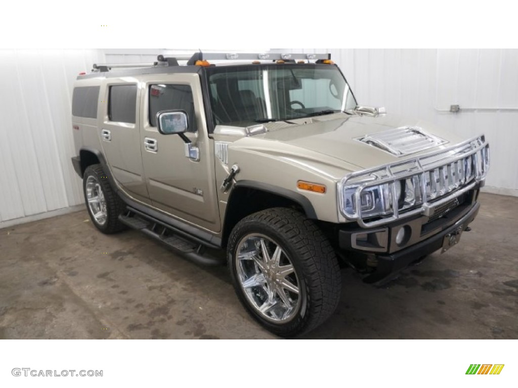 2003 H2 SUV - Pewter Metallic / Wheat photo #13