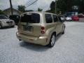 Sandstone Metallic - HHR LT Photo No. 5