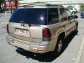 Sandstone Metallic - TrailBlazer LS 4x4 Photo No. 4
