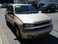 Sandstone Metallic - TrailBlazer LS 4x4 Photo No. 5