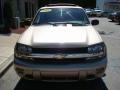 Sandstone Metallic - TrailBlazer LS 4x4 Photo No. 6