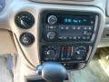 Sandstone Metallic - TrailBlazer LS 4x4 Photo No. 13