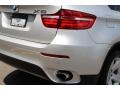 2014 Titanium Silver Metallic BMW X6 xDrive35i  photo #22