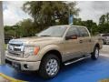 2014 Pale Adobe Ford F150 XLT SuperCrew #95171959