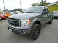 Sterling Gray Metallic - F150 STX SuperCab 4x4 Photo No. 3