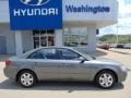 Willow Gray - Sonata GLS Photo No. 2