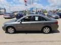 Willow Gray - Sonata GLS Photo No. 6
