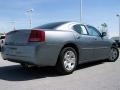 2006 Magnesium Pearlcoat Dodge Charger SE  photo #6