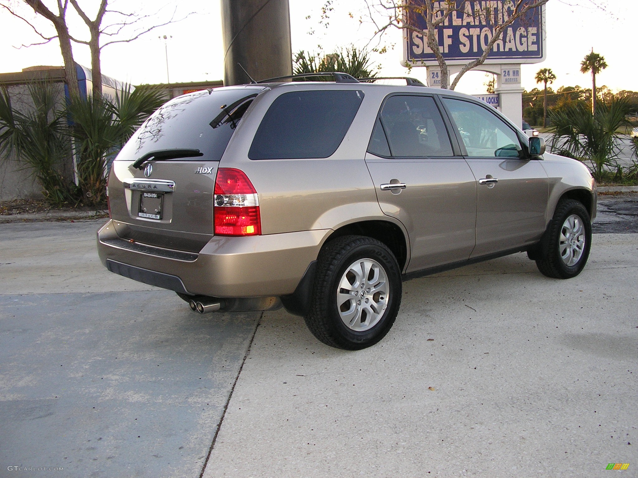 2004 MDX  - Sandstone Metallic / Natural Brown photo #5