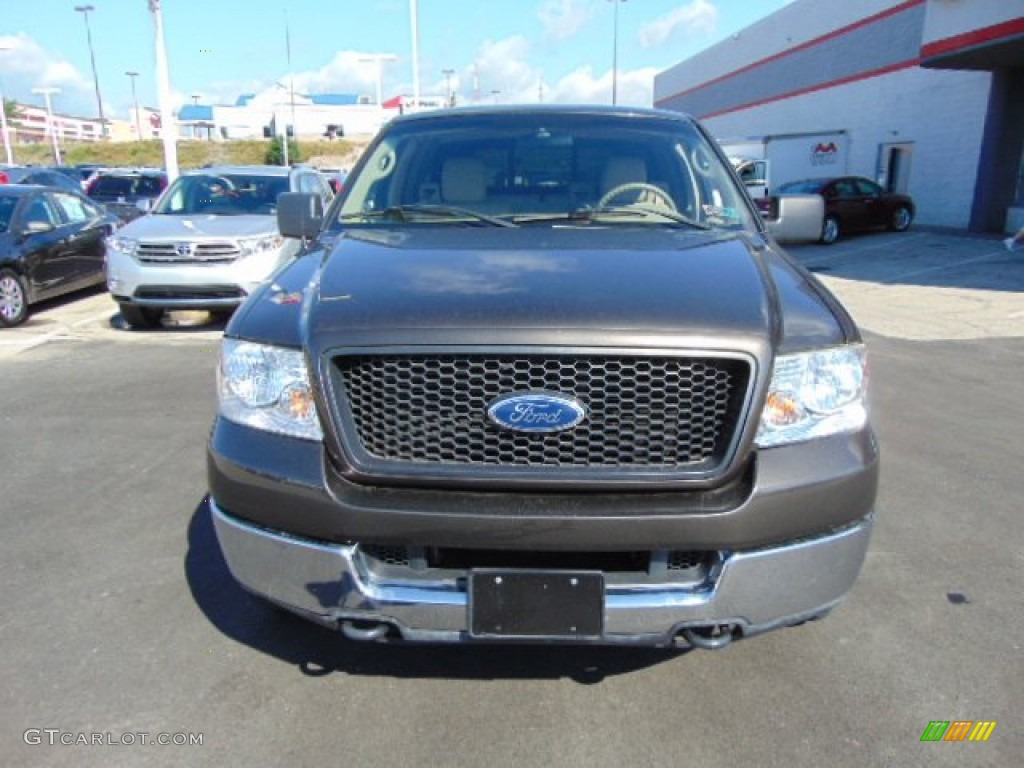 2005 F150 XLT Regular Cab 4x4 - Dark Stone Metallic / Tan photo #4