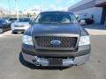 Dark Stone Metallic - F150 XLT Regular Cab 4x4 Photo No. 4