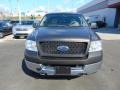 2005 Dark Stone Metallic Ford F150 XLT Regular Cab 4x4  photo #4