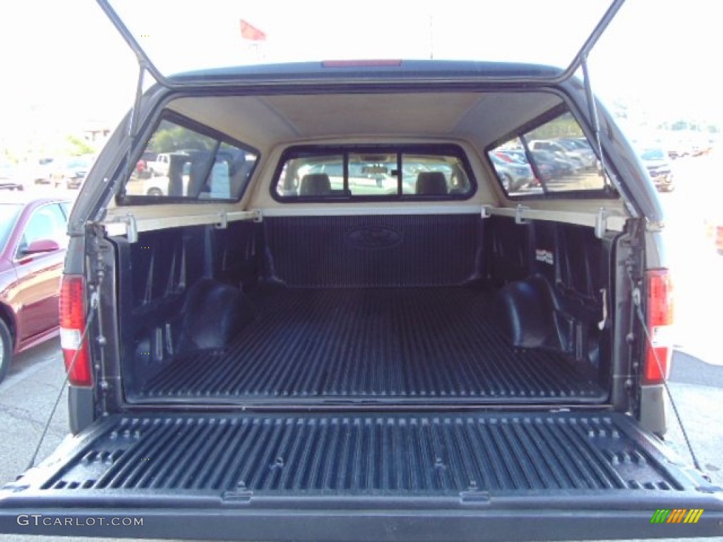 2005 F150 XLT Regular Cab 4x4 - Dark Stone Metallic / Tan photo #10