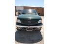 2001 Dark Highland Green Metallic Ford F150 XLT SuperCrew 4x4  photo #2