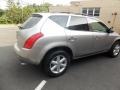 Sheer Silver Metallic - Murano SL AWD Photo No. 5