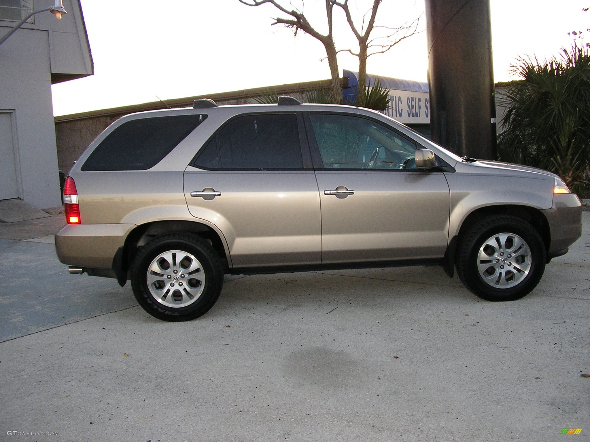 2004 MDX  - Sandstone Metallic / Natural Brown photo #6